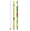 L�PIS BIC EVOLUTION DIGITAL CUT ECOLUTIONS IMPRESSAO CORES