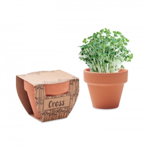 CRESS POT Sementes de agri�o em vaso