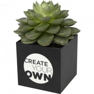 Vaso de alum�nio com plantas, suculenta 'Hey Pots'