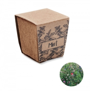 MINT KIT Kit cultivo semente de hortel�