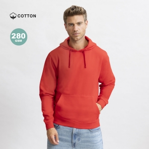 Sweatshirt Adulto Draco