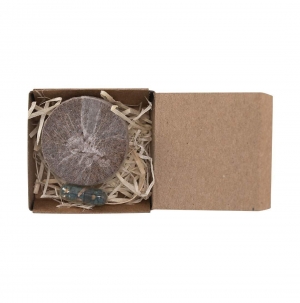 Pack Plant�vel Aquael