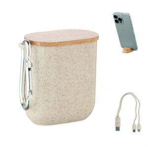 CABSTRA Conjunto de cabos em caixa
