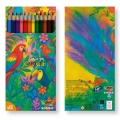 BIC� KIDS COLOURING SET 12 UNITS