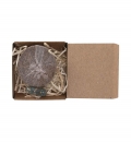 Pack Plant�vel Aquael